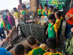 Alunos da rede municipal aprendem sobre preservação ambiental em palestras e exposição de animais silvestres – Alunos da rede municipal aprendem sobre preservação ambiental em palestras e exposição de animais silvestres