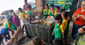 Alunos da rede municipal aprendem sobre preservação ambiental em palestras e exposição de animais silvestres – Alunos da rede municipal aprendem sobre preservação ambiental em palestras e exposição de animais silvestres