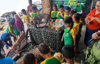 Alunos da rede municipal aprendem sobre preservação ambiental em palestras e exposição de animais silvestres – Alunos da rede municipal aprendem sobre preservação ambiental em palestras e exposição de animais silvestres