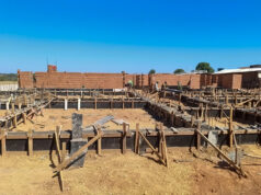 Obra do CAPS AD III avança e chega à fase de construção das paredes – Obra do CAPS AD III avança e chega à fase de construção das paredes