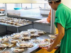 Contratação emergencial de câmaras frias garante segurança e continuidade da merenda escolar em Várzea Grande – Contratação emergencial de câmaras frias garante segurança e continuidade da merenda escolar em Várzea Grande