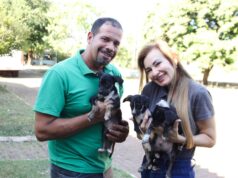 CCZ VG está com filhotes de cães, gatas e cães adultos para doação – CCZ VG está com filhotes de cães, gatas e cães adultos para doação