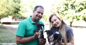 CCZ VG está com filhotes de cães, gatas e cães adultos para doação – CCZ VG está com filhotes de cães, gatas e cães adultos para doação