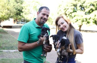 CCZ VG está com filhotes de cães, gatas e cães adultos para doação – CCZ VG está com filhotes de cães, gatas e cães adultos para doação