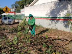 Várzea Grande realiza poda de árvores na Avenida Castelo Branco neste sábado (01) – Várzea Grande realiza poda de árvores na Avenida Castelo Branco neste sábado (01)