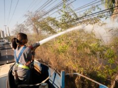 Prefeitura age rápido e evita que incêndio se alastre na região da ponte da Marechal Rondon
