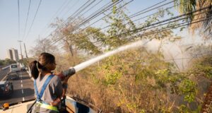 Prefeitura age rápido e evita que incêndio se alastre na região da ponte da Marechal Rondon
