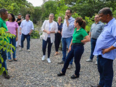 Meio Ambiente de Várzea Grande realiza mais de 1,1 mil procedimentos ambientais em 2026 – Meio Ambiente de Várzea Grande realiza mais de 1,1 mil procedimentos ambientais em 2026