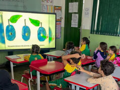 Alunos do 5º ano aprendem sobre metamorfose da borboleta em atividade lúdica – Alunos do 5º ano aprendem sobre metamorfose da borboleta em atividade lúdica