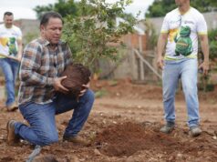 Rondonópolis conquista premiação internacional por trabalho de arborização urbana