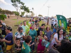 Com apoio da Prefeitura, seis mil mudas de árvores são doadas aos moradores