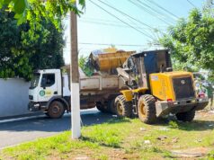 Mutirão reúne cerca de 50 trabalhadores para reforçar limpeza e manutenção na Avenida Prefeito Murilo Domingos – Mutirão reúne cerca de 50 trabalhadores para reforçar limpeza e manutenção na Avenida Prefeito Murilo Domingos